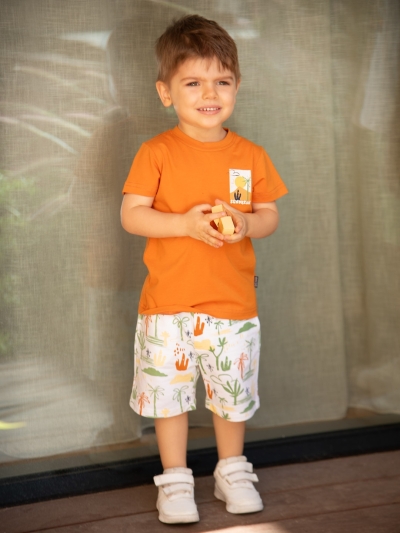 bb-nd6798-33-0.jpg