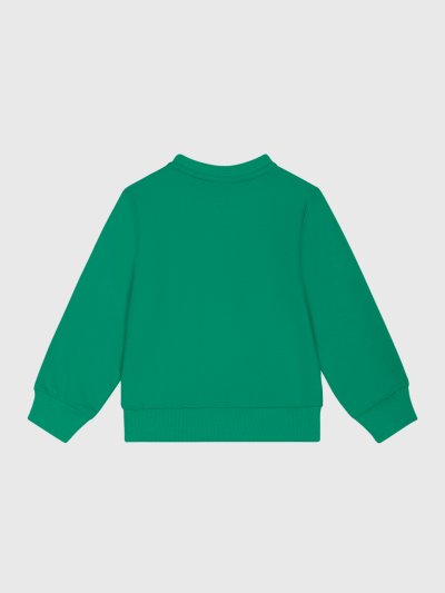 Sweat-Sem-Capuz-para-Bebe-Menino-Verde-Periquito-BB-YF9227-55