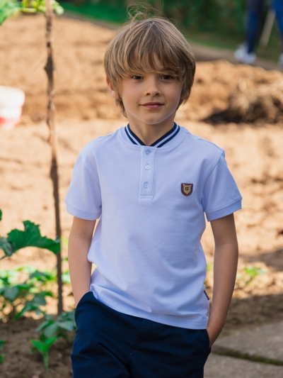 kb-nd6934-12-0.jpg